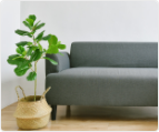Home & Garden